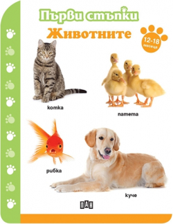 related-product-386867