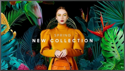 related-product-393360