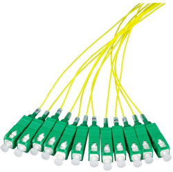 related-product-396013