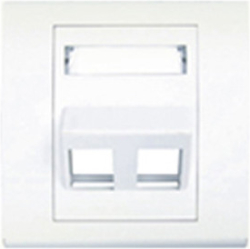 Розетка за 2xRJ45 жака, DIN стандарт, за вкопан монтаж, под ъгъл