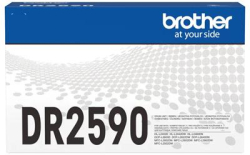 related-product-398632