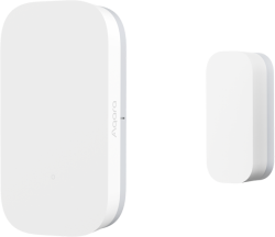 related-product-405169