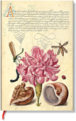 Канцеларски продукт Paperblanks Тефтер Pink Carnation, Mini, широки редове, мека корица, 104 бр.