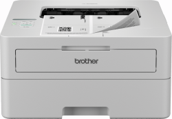 Принтер Brother HL-B2180DW Laser Printer