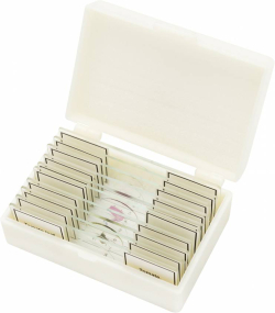 related-product-412683