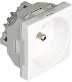 related-product-421568