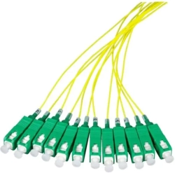 related-product-421789