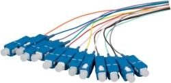 related-product-421790