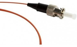 related-product-421841