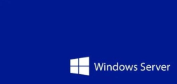 Софтуер Windows Server CAL 2025 English 1pk DSP OEI 5 Clt User CAL