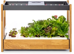 Продукт Смарт саксия Click and Grow Smart Garden 25, Черна