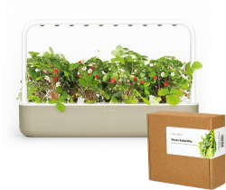 Click and Grow смарт саксия Smart Garden 9, Бежова + семена 9 броя Салатен микс