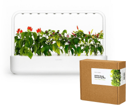 Click and Grow смарт саксия Smart Garden 9 + 9 броя Подправки за пържола микс