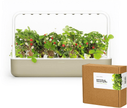 Click and Grow смарт саксия Smart Garden 9 + семена 9 броя Подправки за пържола