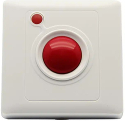 related-product-434029