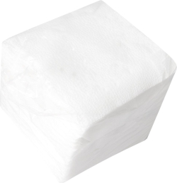 Салфетки, целулоза, двупластови, 25 х 25 cm, 100 броя