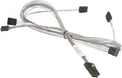 related-product-437212