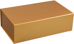Office 1 Кутия Colorful, с магнитно затваряне, сгъваема, 35 х 20.5 х 11.3 cm, златна