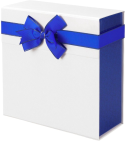  Office 1 Кутия Pearl, сгъваема, 21 х 21 х 9 cm, бяло-синя