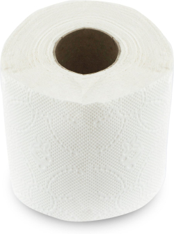 Продукт Тоалетна хартия, целулоза, трипластова, 80 g-m², 4 броя