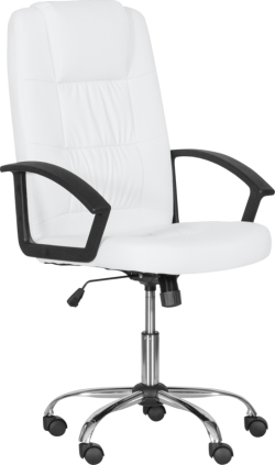 related-product-443932