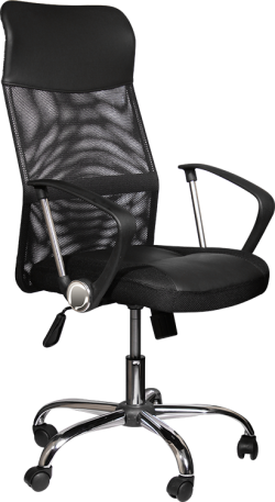 related-product-443937