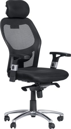 Ергономичен стол Carmen 7520 - черен