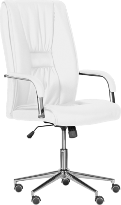 Офис стол Президентски офис стол Carmen 6500-1 - бял на най-ниска цени