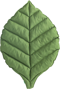 related-product-445869