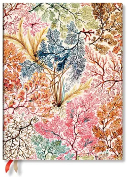 Paperblanks Бизнес планер Anemone, Ultra, мека корица, 112 листа, за 2026 година