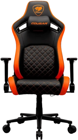 related-product-450472