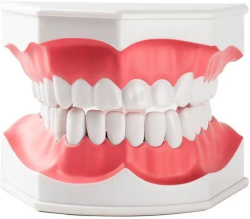 related-product-451036