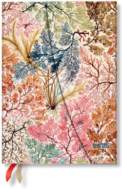 Paperblanks Планер Anemone, Midi, хоризонтален, твърда корица, 80 листа, за 2026 година