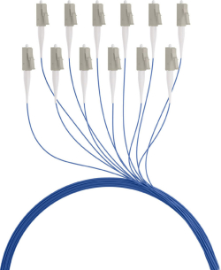 related-product-451733