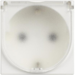 related-product-452043