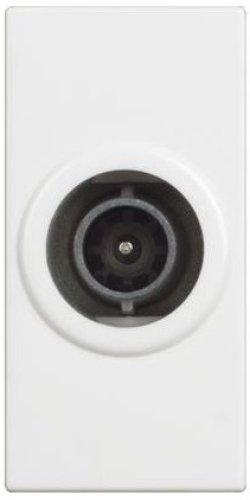 related-product-452046