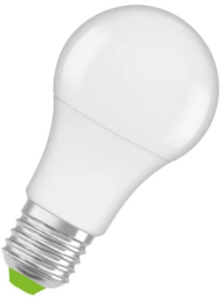 related-product-453861
