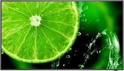 related-product-462026