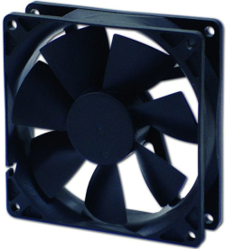 related-product-464659