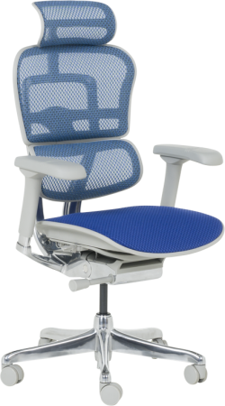 Офис стол Ергономичен стол ERGOHUMAN ELITE 2 - сива рамка - син на най-ниска цени