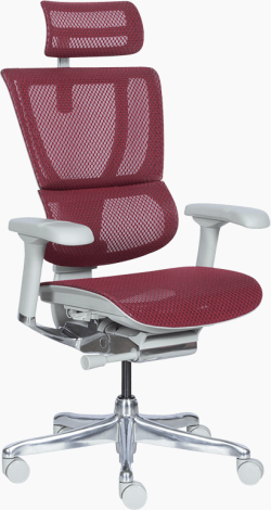 Ергономичен стол ERGOHUMAN IOO ELITE 2 - сива рамка - червен