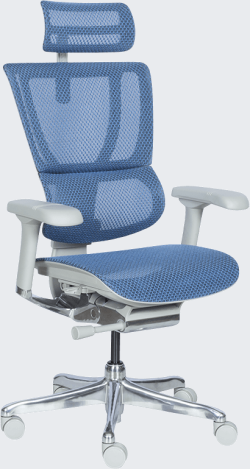 Ергономичен стол ERGOHUMAN IOO ELITE 2 - сива рамка - син