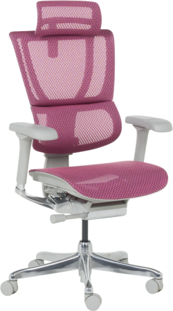 Ергономичен стол ERGOHUMAN IOO ELITE 2 - сива рамка - розов