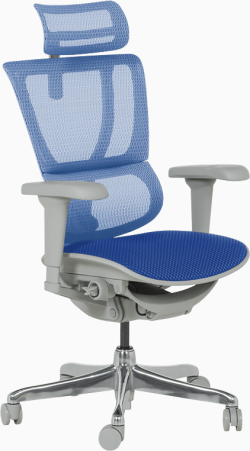 Ергономичен стол ERGOHUMAN IOO ULTRA - сива рамка - син