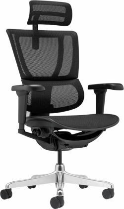 Ергономичен стол ERGOHUMAN IOO ULTRA - черна рамка - черен