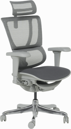 Ергономичен стол ERGOHUMAN IOO ULTRA - сива рамка - сив