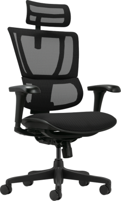 Ергономичен стол ERGOHUMAN IOO BUDGET 2 - черна рамка - черен