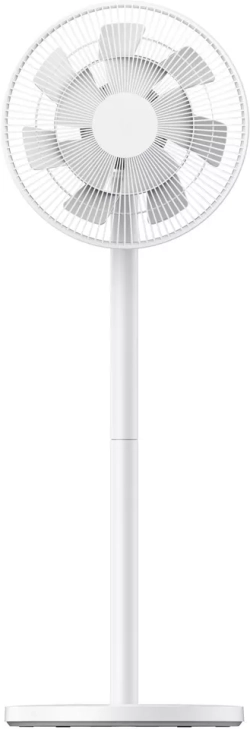 related-product-484545