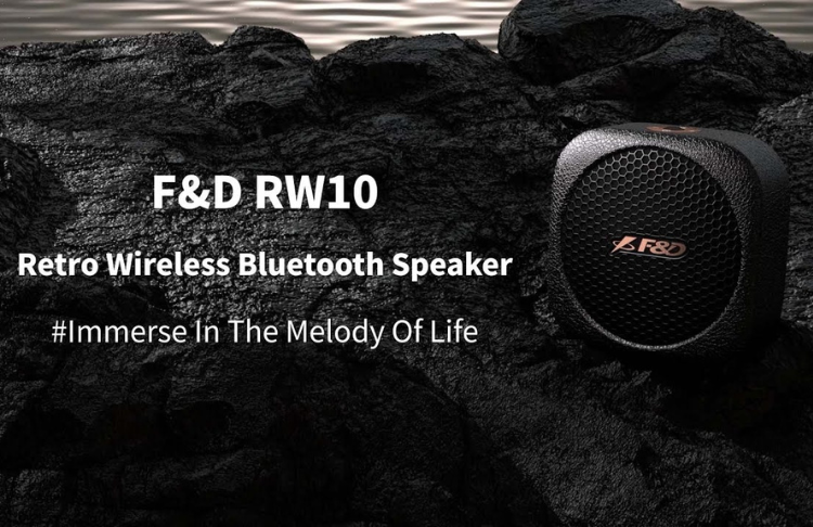 f-d-rw10-bluetooth5.3-tf-card-usb-sound-card-mode-type-c-data-cable-co-442553