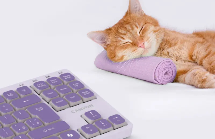 canyon-keyboard-ontype-10-low-profile-en-wired-violet-459515